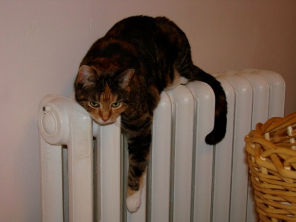 tillie-radiator.jpg